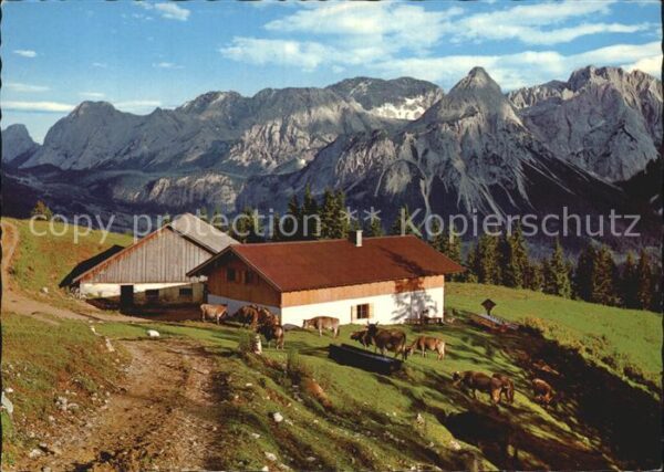 Lermoos Tirol Duftlalm mit Mieminger Gebirge