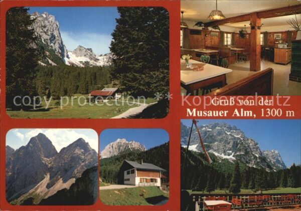 Reutte Tirol Musauer Alm Berggaststätte Alpenblick