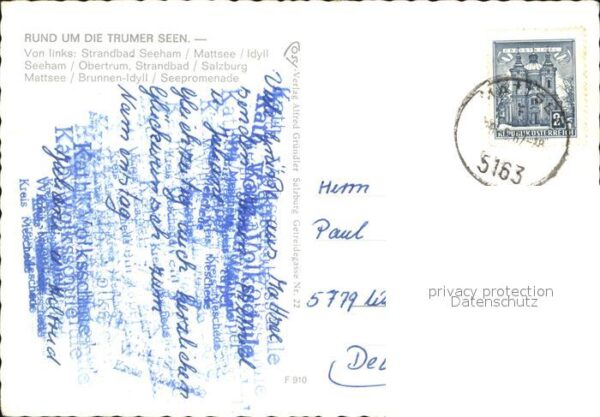 Seeham rund um die Trumer Seen Segeln Schwäne – Bild 2