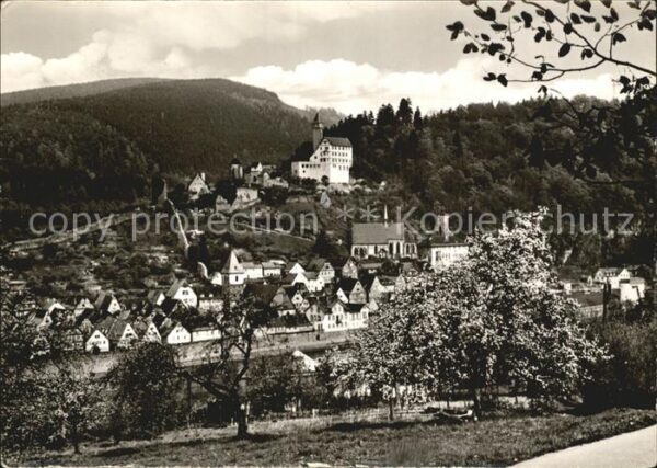 Hirschhorn Neckar Ortsansicht mit Kirche Baumblüte