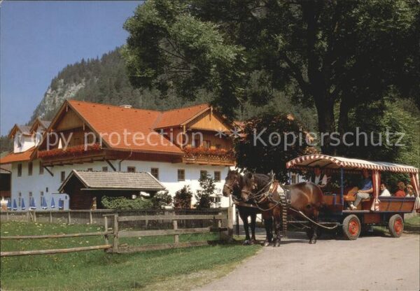 Pinswang Tirol Schlurenhof Planwagen Pferde
