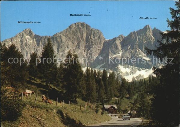 Filzmoos Höhenstrasse zum Dachstein