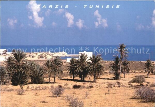 Zarzis