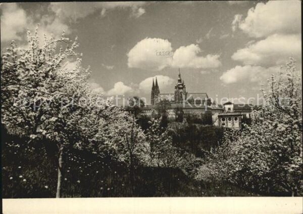 Praha Prahy Prague