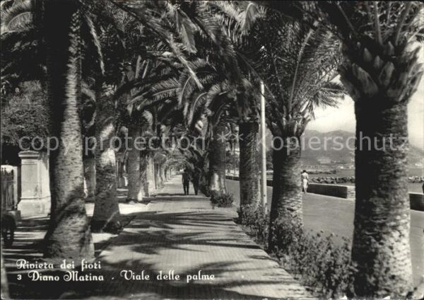 Diano Marina Palmenallee