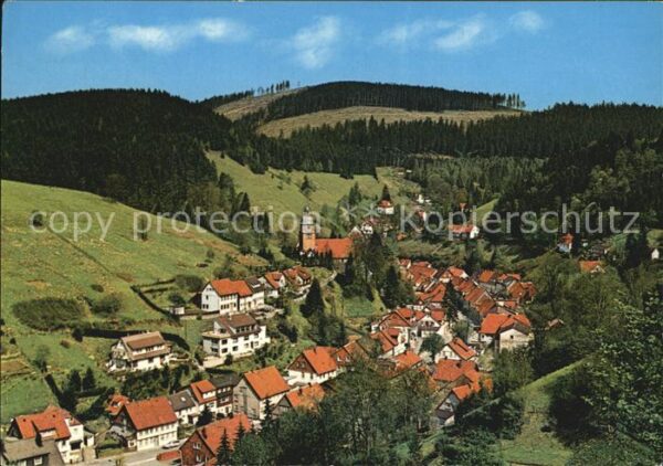 Wildemann Hotel Restaurant Cafe Zum Harzer