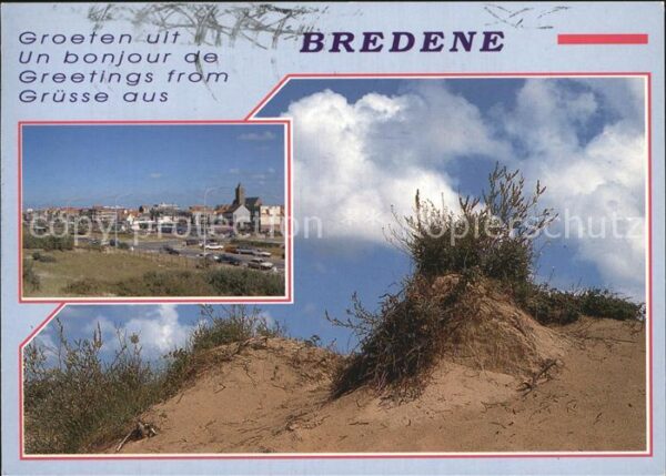 Bredene Düne