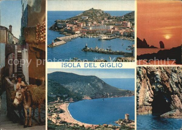 Isola del Giglio Dorfmotiv Packesel Fliegeraufnahme Stra