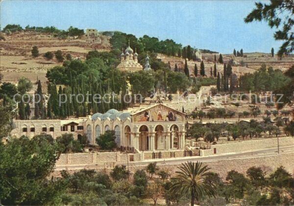 Jerusalem Yerushalayim Old City Basilica and Gardens of Gethse