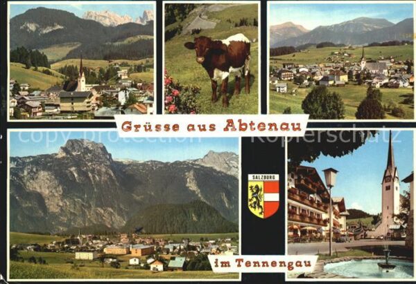 Abtenau Ortsblick Kuh Panorama Kirche Brunnen