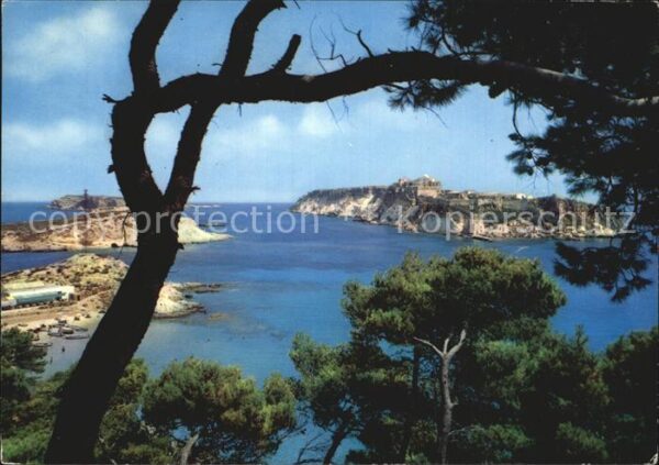 Isole Tremiti S Domino Toppa del Caino e S Nicola sul