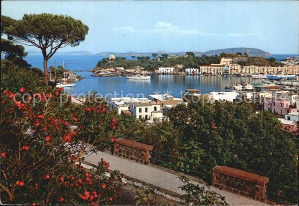 Isola d Ischia Panorama