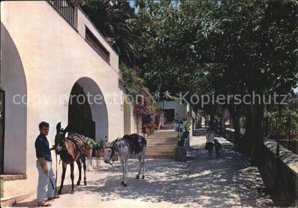 Capri Via Croce Packesel