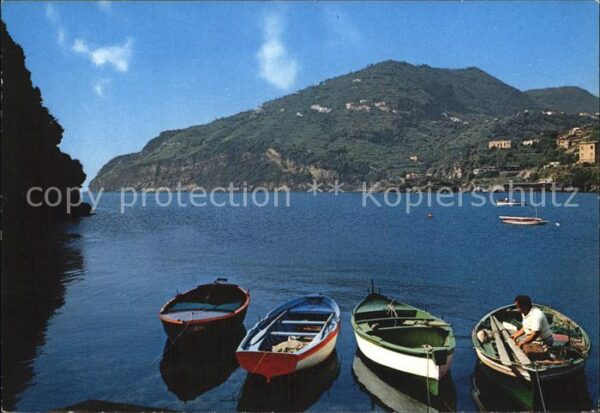 Ischia Ponte Panorama Fischerboote