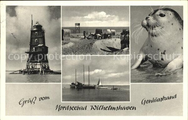 Wilhelmshaven Strand Leuchtturm Robbe