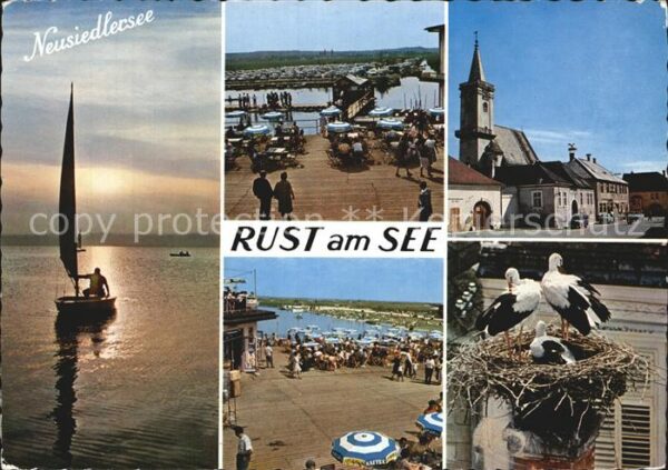 Rust Burgenland Hafen Störche Segler
