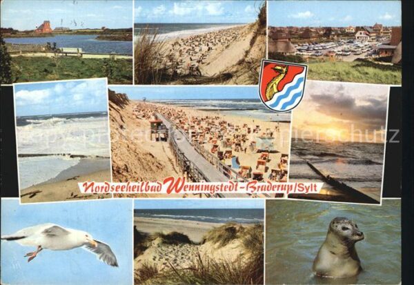 Wenningstedt Sylt Bruderup Strand Seehund