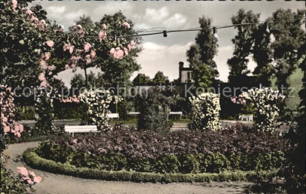 Eckernfoerde Rosengarten