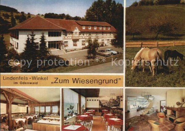 Winkel Odenwald Restaurant Cafe Zum Wiesengrund Gasträu