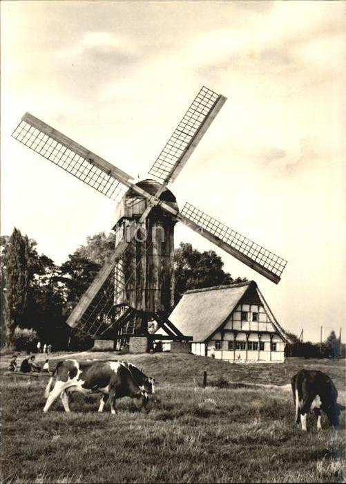 Muenster Westfalen Bockwindmühle und Mühlenhaus