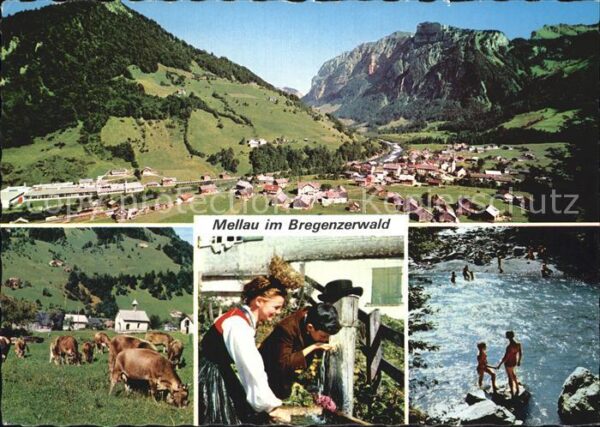 Mellau Vorarlberg Panorama Viehweide Kapelle Brunnen Natu