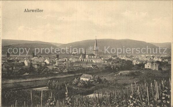 Ahrweiler Ahr Panorama Weinanbau