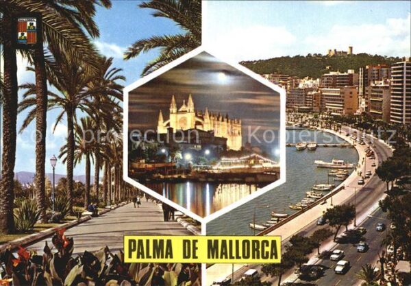 Palma de Mallorca Paseo Sagrera Vista nocturna Paseo Mari