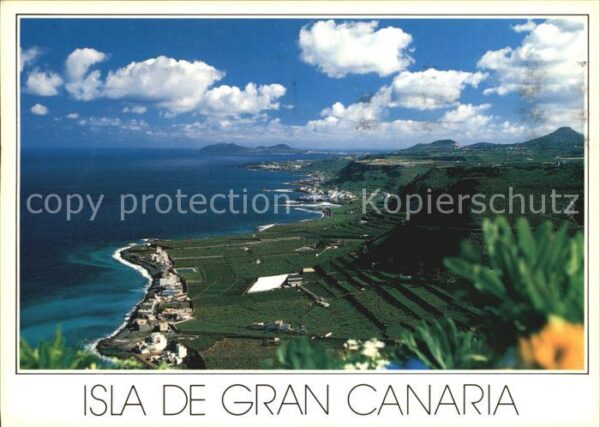 Islas Canarias Bananenplantagen Nordküste