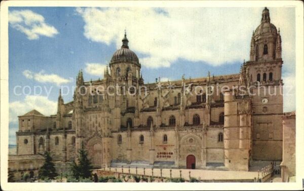 Salamanca Castilla y Leon Cathedral