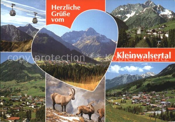 Kleinwalsertal Seilbahn Steinböcke