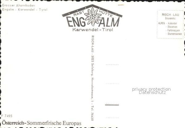 Kuehe Grosser Ahornboden Engalm Karwendel Tir – Bild 2