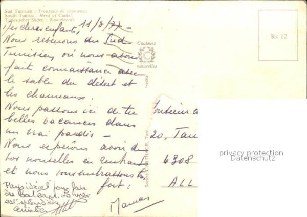 Kamel  Camel Chameau Tunesien Kamelherde – Bild 2