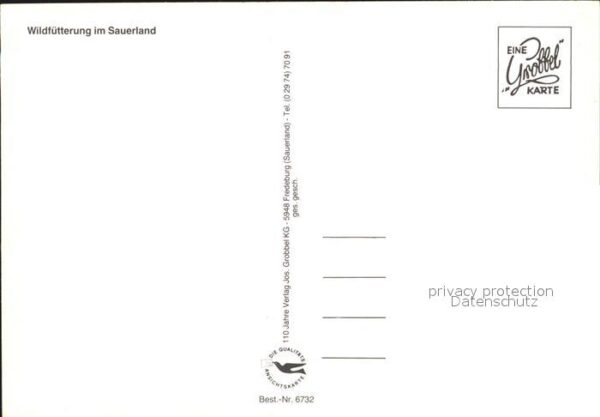 Hirsch Wildfütterung Sauerland – Bild 2