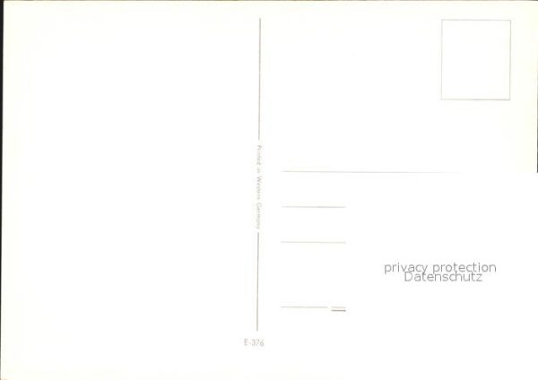Hirsch – Bild 2