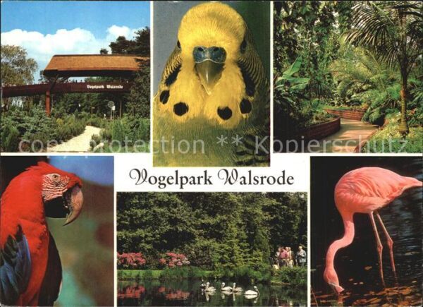 Voegel Vogelpark Walsrode