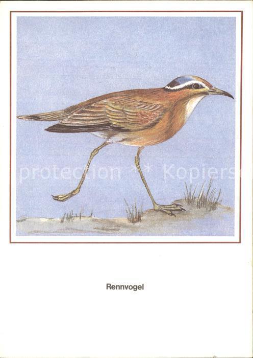 Voegel Rennvogel Entwurf R. Schiller