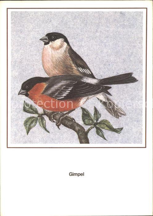 Voegel Gimpel Entwurf R. Schiller