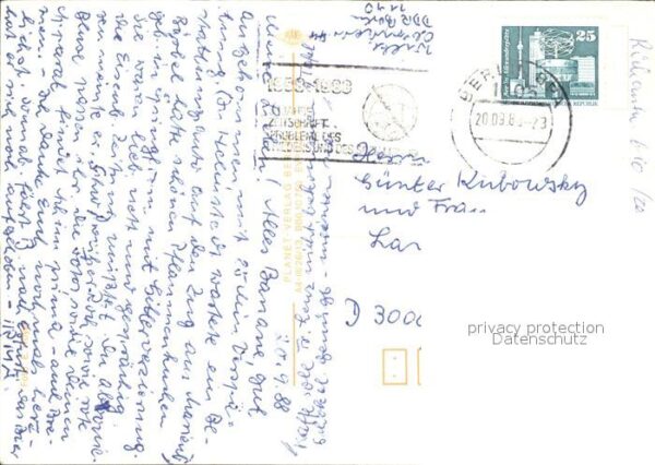 Gemse – Bild 2
