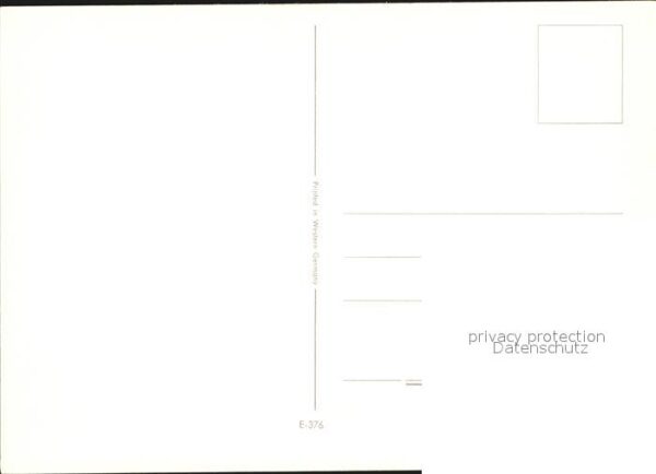 Hirsch – Bild 2
