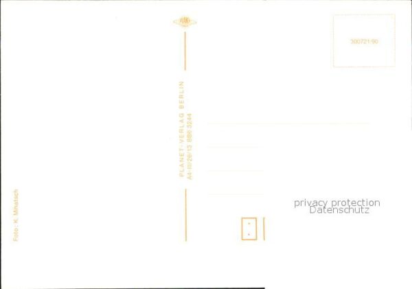 Pferde Fohlen – Bild 2