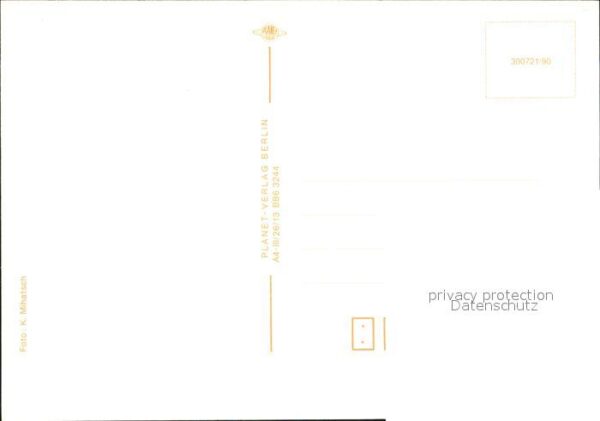 Pferde Fohlen – Bild 2