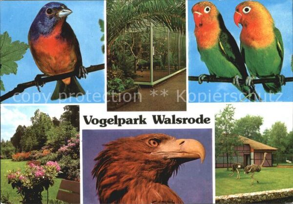 Voegel Vogelpark Walsrode