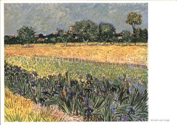 Van Gogh Vincent Blick auf Arles mit Iris