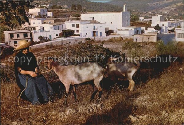 Ziege San Jose Ibiza
