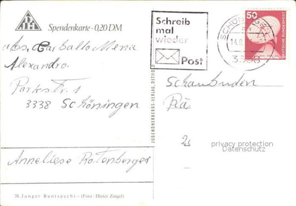 Voegel Junger Buntspecht Spendenkarte – Bild 2