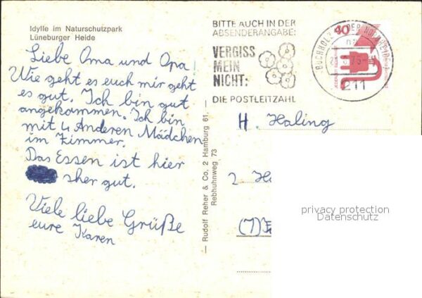 Reh Naturschutzpark Lüneburger Heide – Bild 2