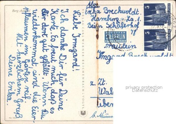 Blumen Berg-Aurikel – Bild 2