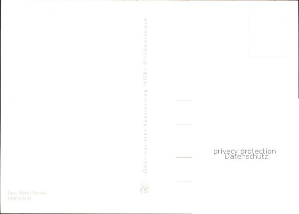 Voegel – Bild 2