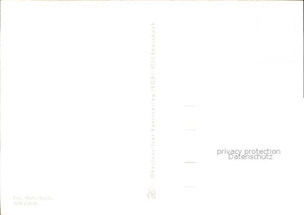 Voegel – Bild 2
