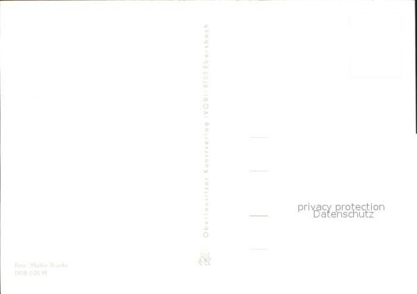 Voegel – Bild 2
